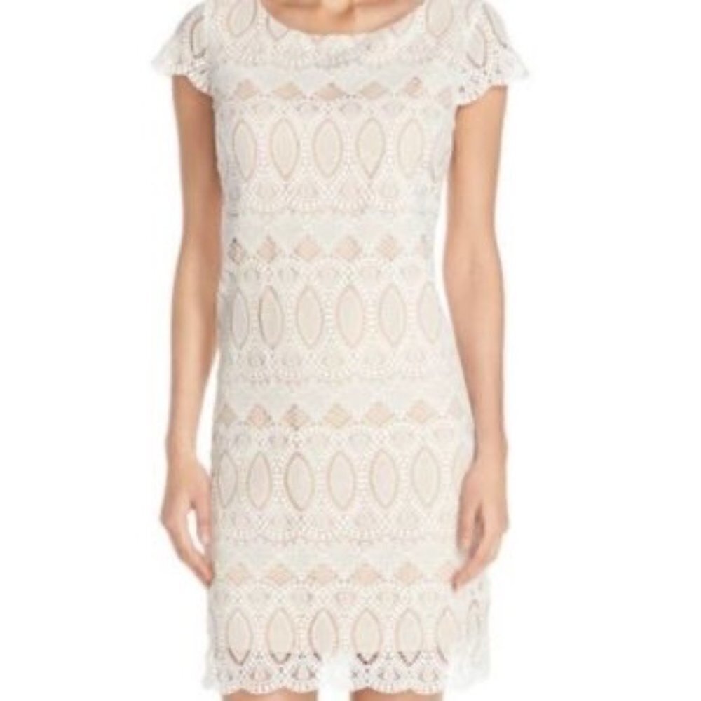 NWT Eliza J Ivory Scalloped Lace Cap Sleeve Dress 8